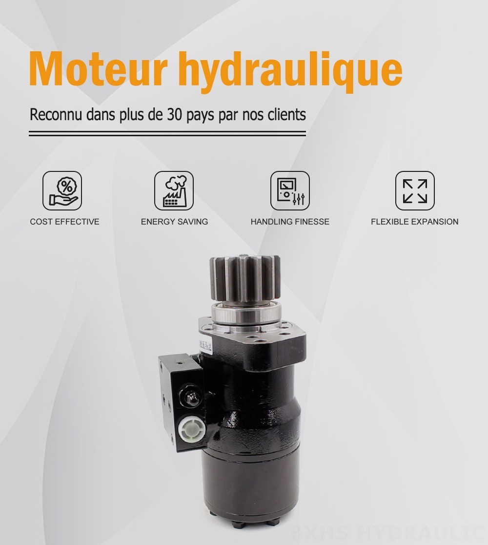 Moteur hydraulique cycloïdal BMR 50 cm³/tr 38 L/min Moteur hydraulique